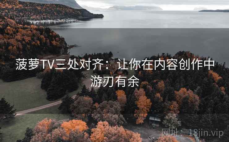 菠萝TV三处对齐：让你在内容创作中游刃有余