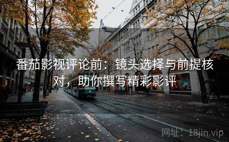 番茄影视评论前：镜头选择与前提核对，助你撰写精彩影评
